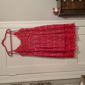 City chic red lace dress